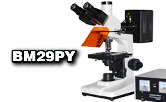 三目正置荧光显微镜XSP-BM29PY