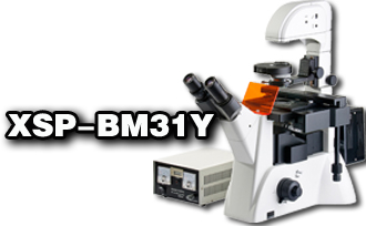 xsp-BM31Y副本.jpg