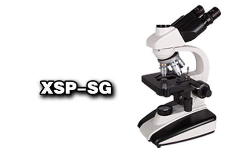 xsp-sg副本.jpg